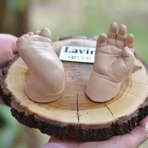 استند تندیس ساخته شده از تنه درخت